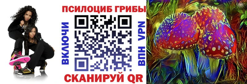 Галлюциногенные грибы Psilocybine cubensis  Нарткала 
